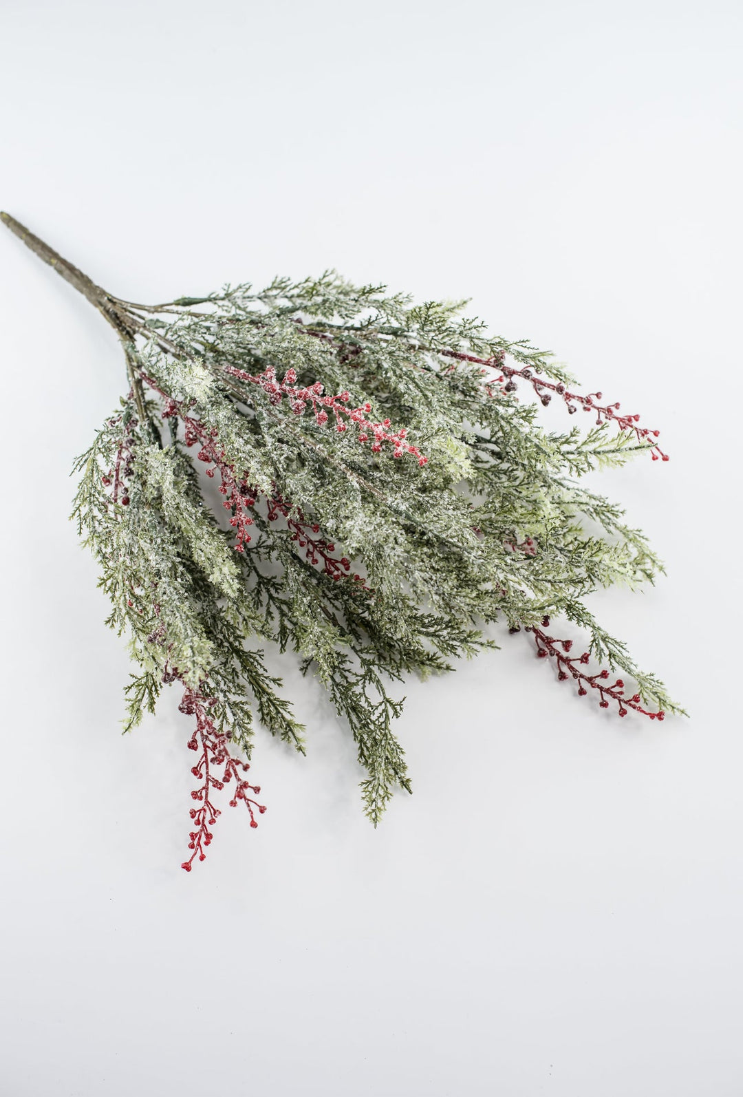 Winter cypress Pine bush with red berries - Greenery Market81823