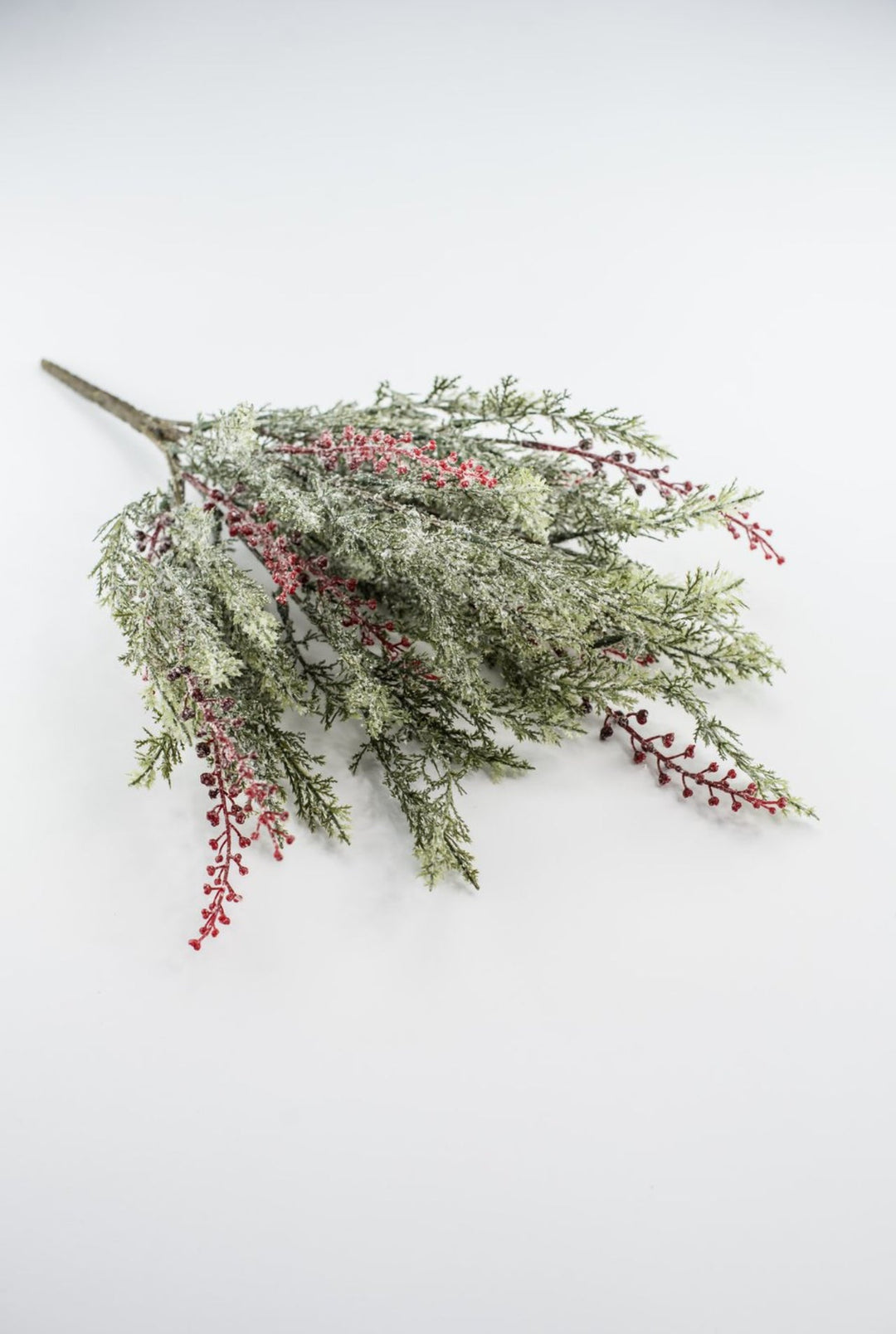 Winter cypress Pine bush with red berries - Greenery Market81823