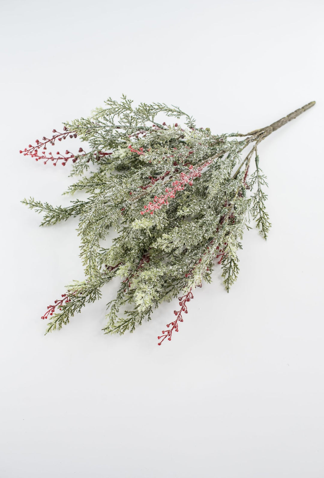 Winter cypress Pine bush with red berries - Greenery Market81823