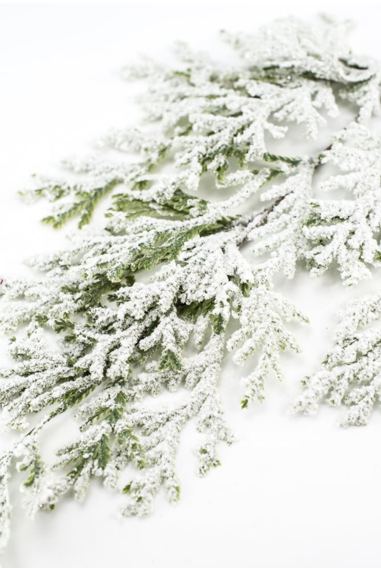 Winter cedar spray with snow - Greenery Market