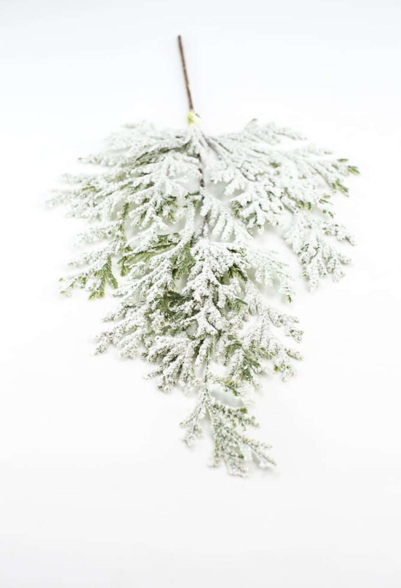 Winter cedar spray with snow - Greenery Market