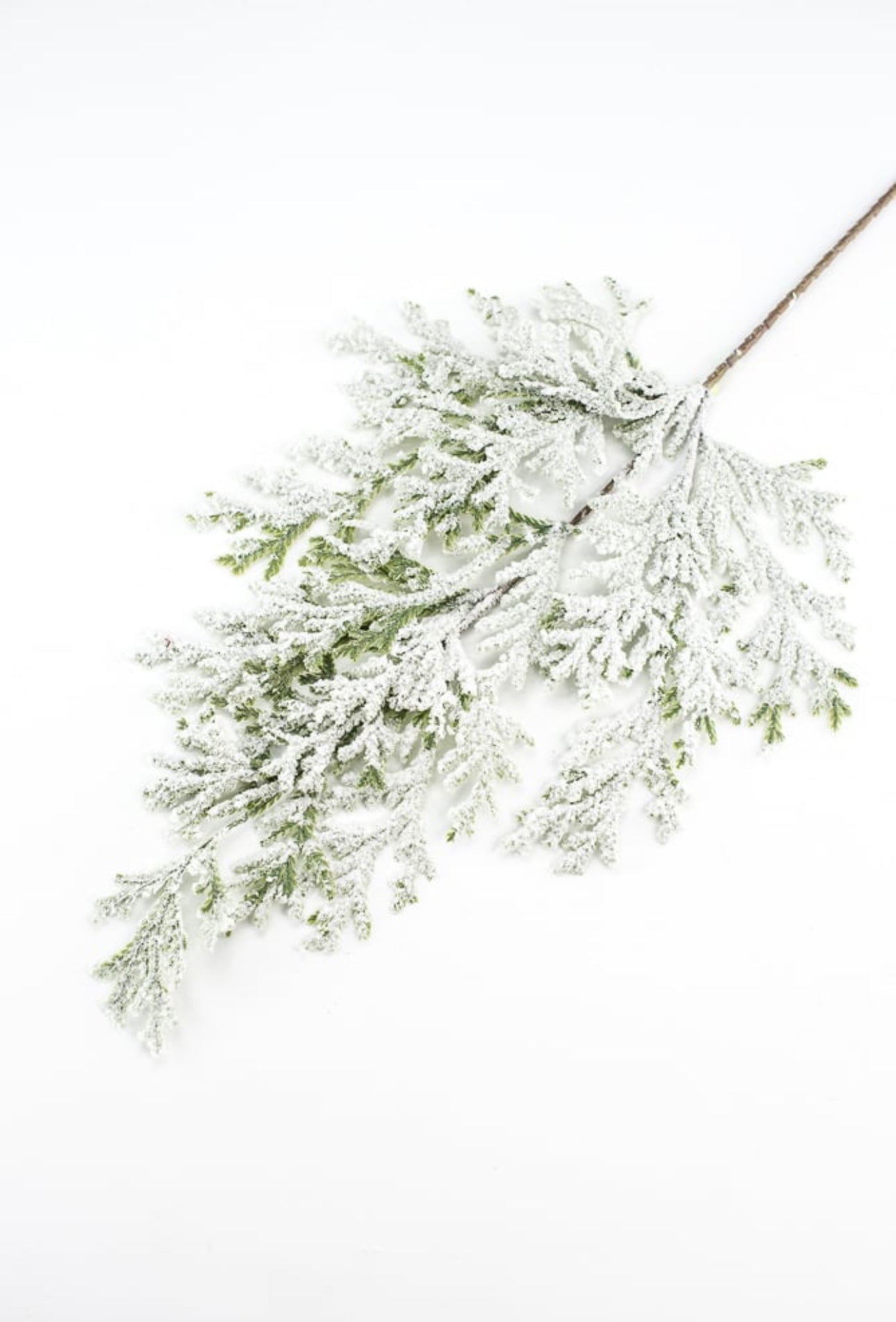 Winter cedar spray with snow - Greenery Market