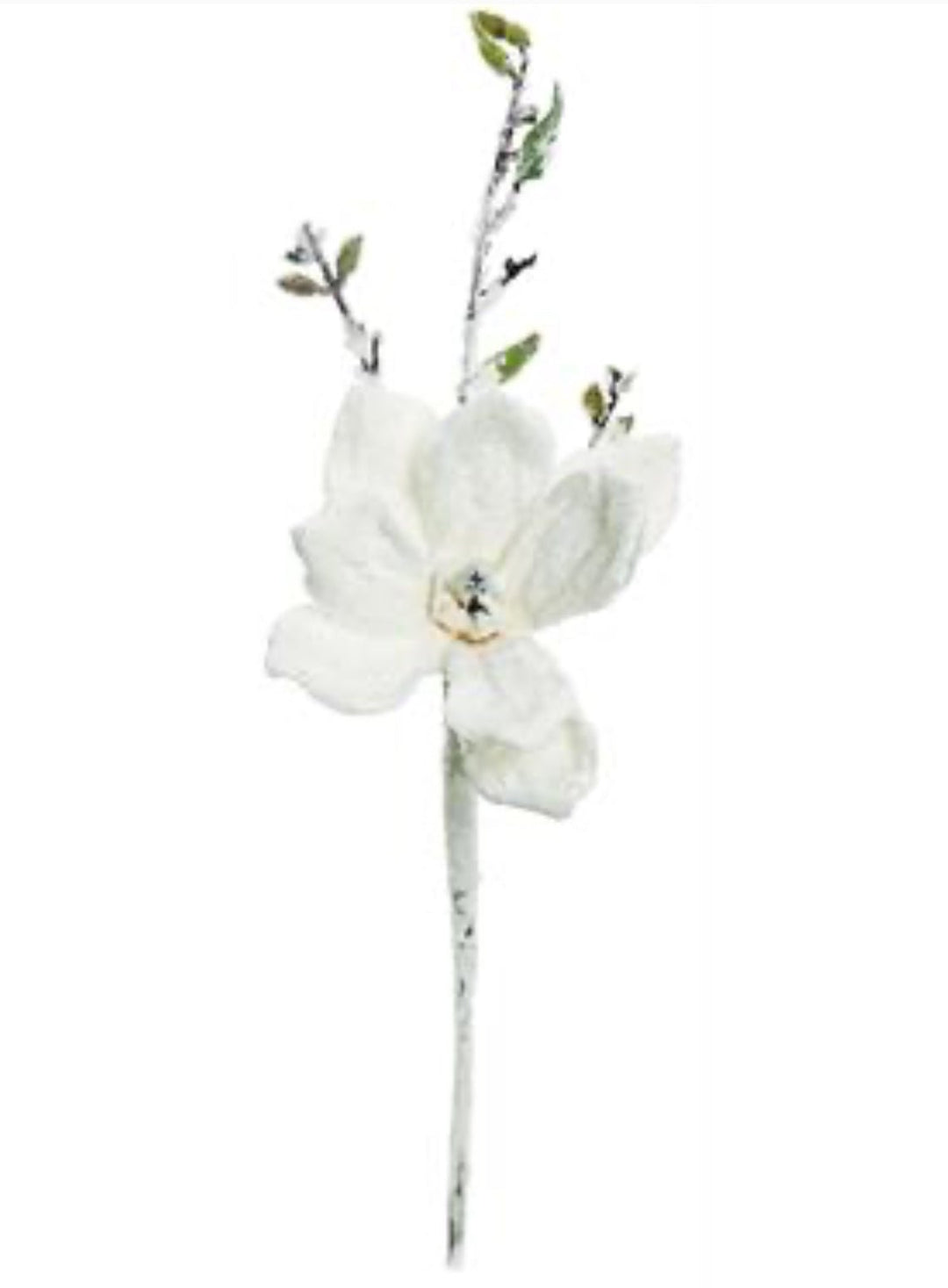 Winter, snowy magnolia pick - Greenery MarketArtificial FloraXS725 - W