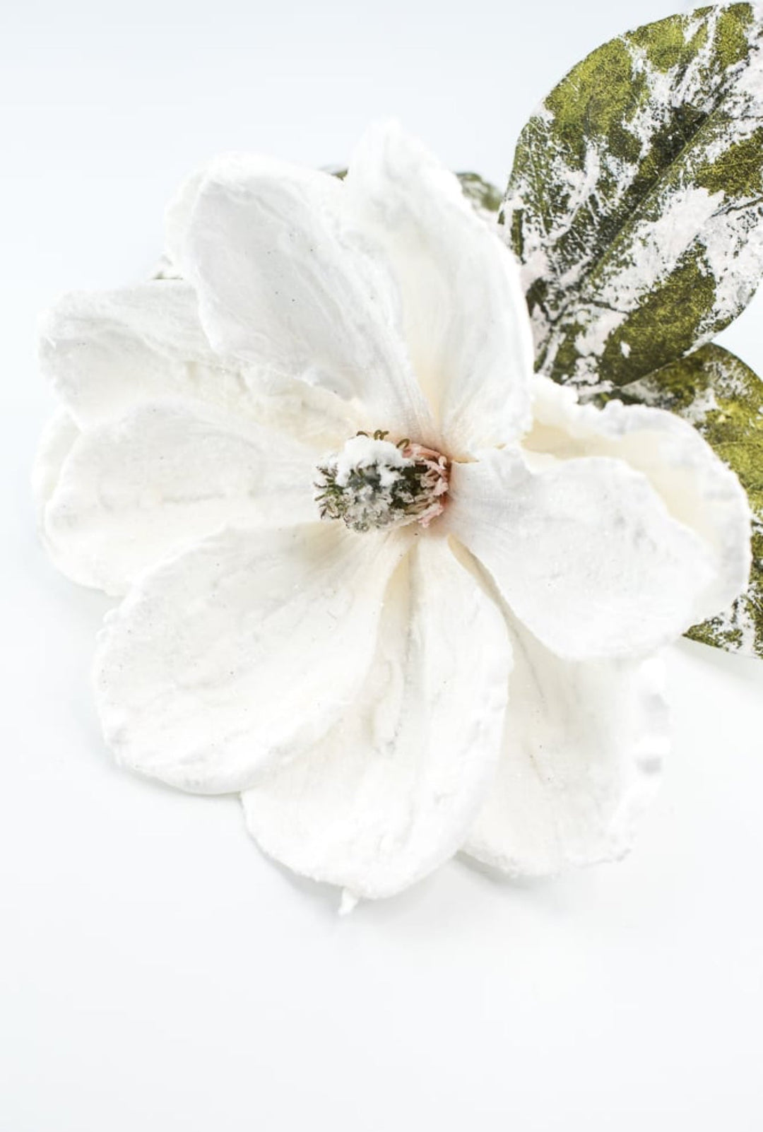 Winter, snowy magnolia stem - Greenery MarketArtificial Flora6133 - W