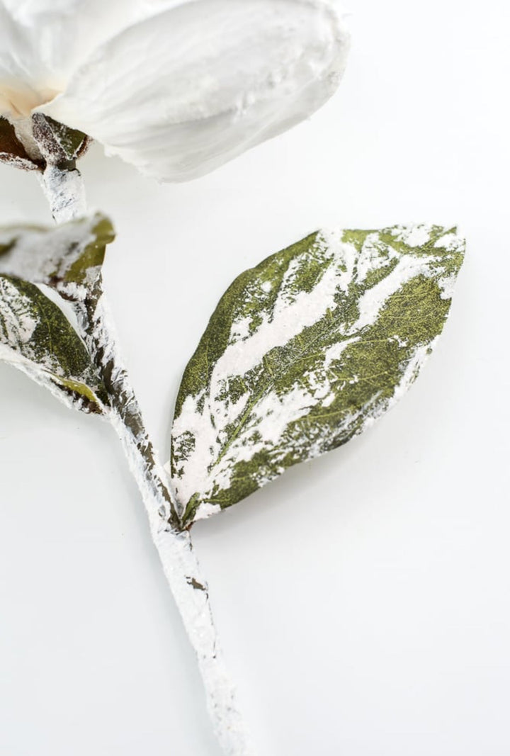 Winter, snowy magnolia stem - Greenery MarketArtificial Flora6133 - W