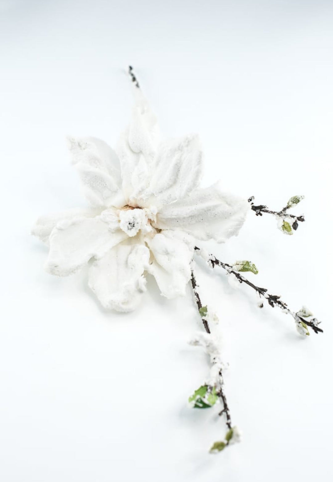 Winter, snowy magnolia stem - Greenery MarketArtificial FloraXS725 - W