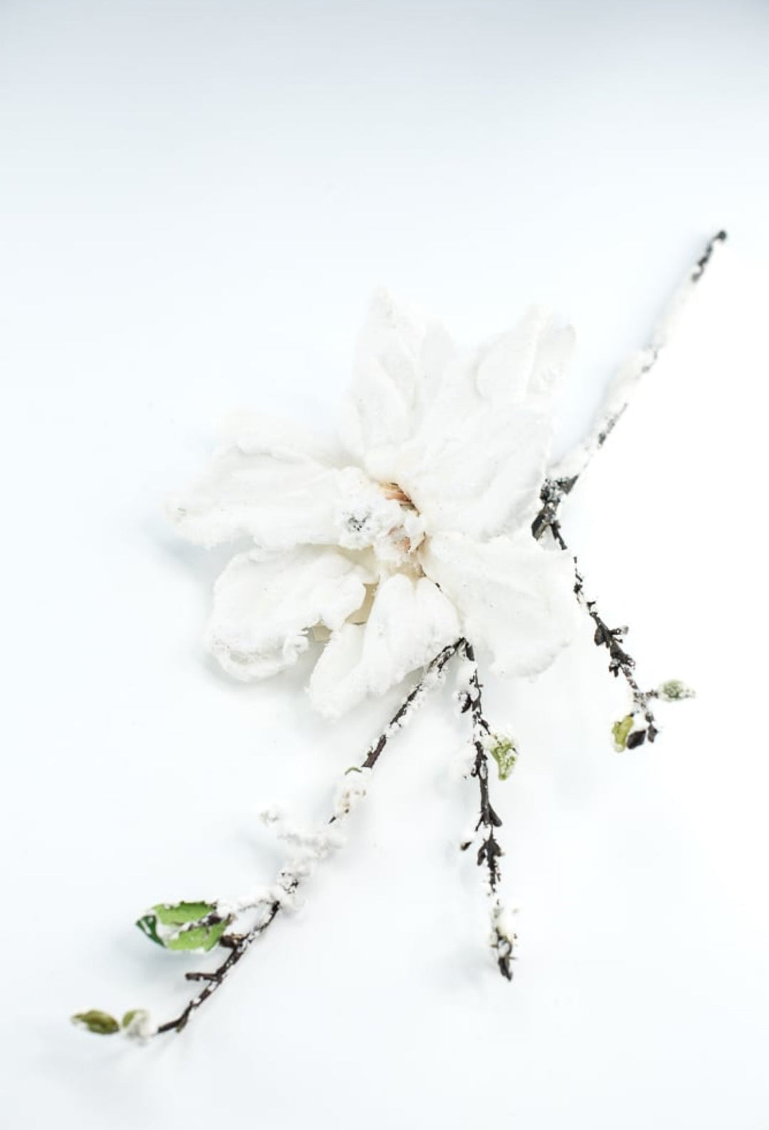 Winter, snowy magnolia stem - Greenery MarketArtificial FloraXS725 - W