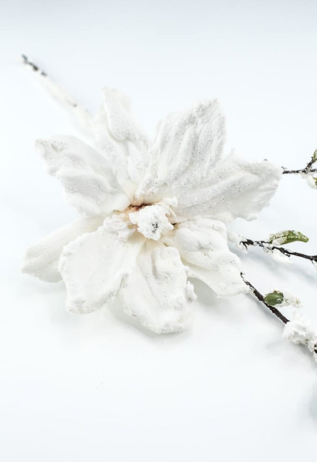 Winter, snowy magnolia stem - Greenery MarketArtificial FloraXS725 - W