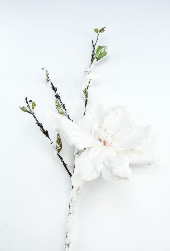 Winter, snowy magnolia stem - Greenery MarketArtificial FloraXS725 - W