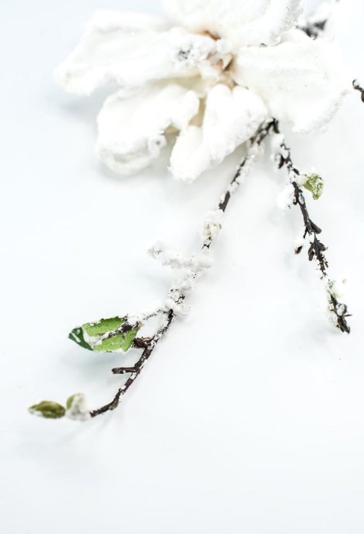 Winter, snowy magnolia stem - Greenery MarketArtificial FloraXS725 - W