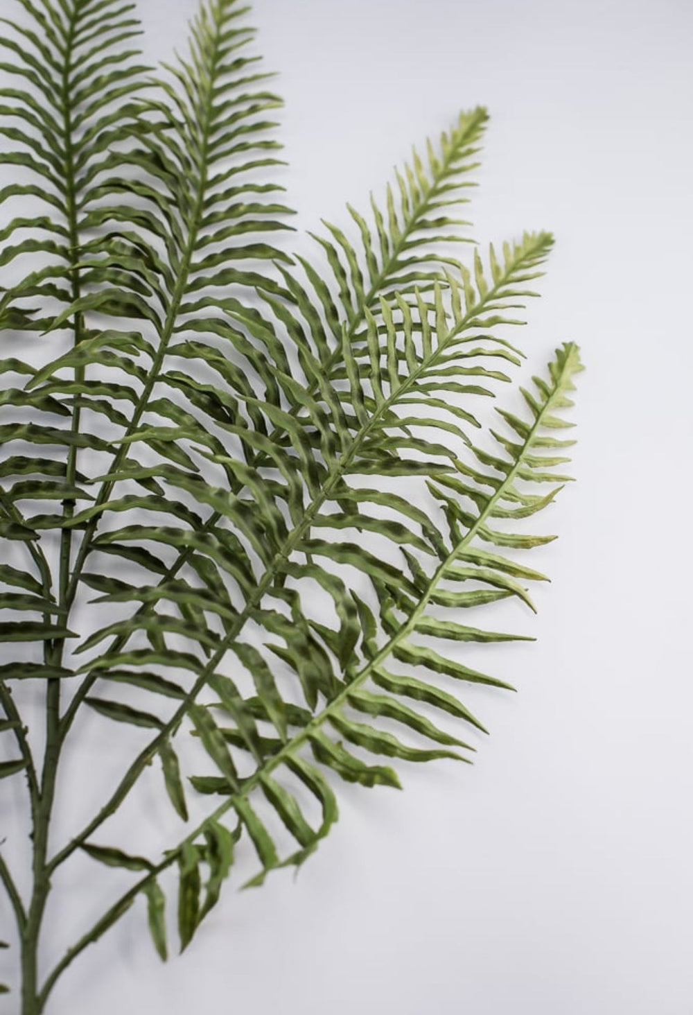 Wired Fern PVC spray - Greenery Marketgreenery13406GN