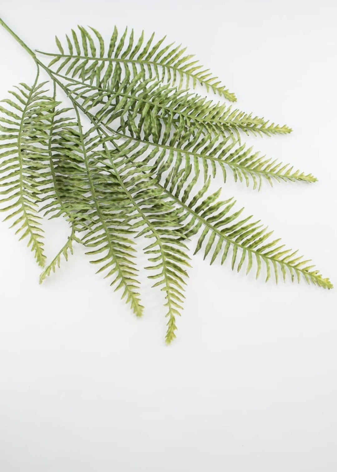 Wired Fern PVC spray - Greenery Marketgreenery13406GN