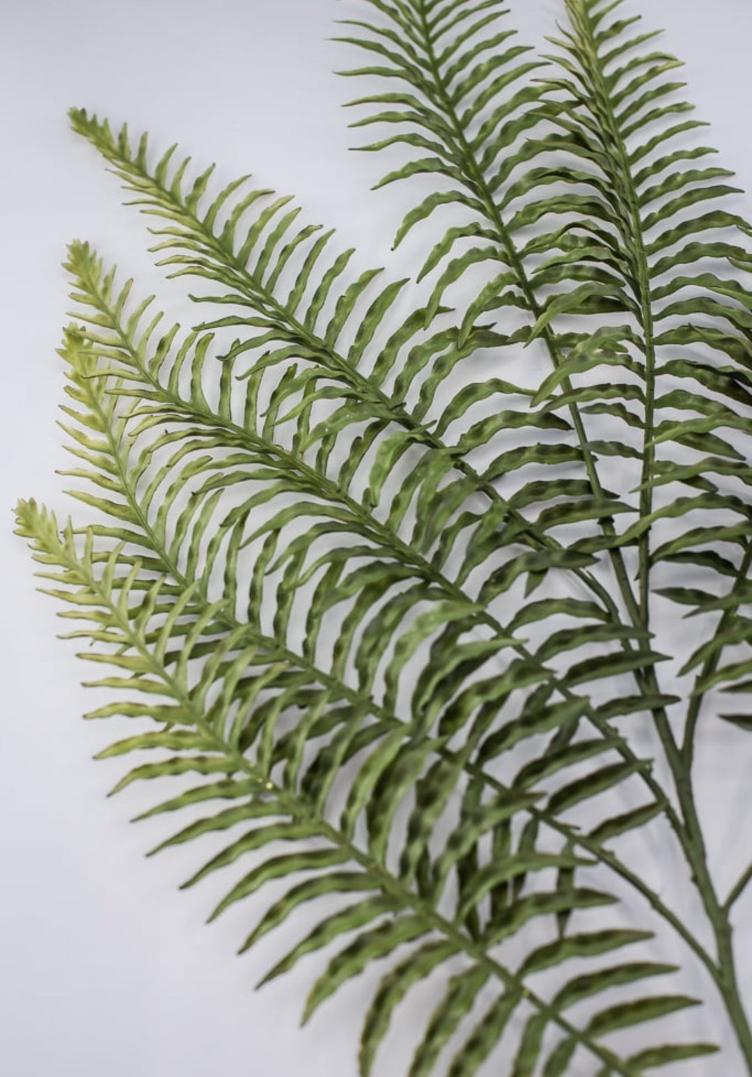 Wired Fern PVC spray - Greenery Marketgreenery13406GN