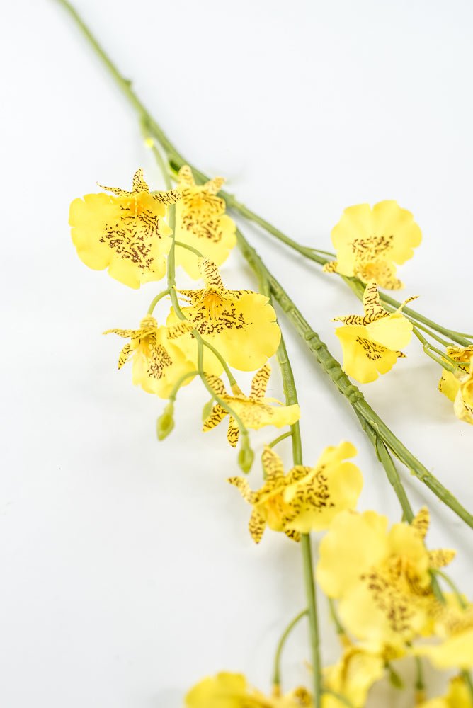 Yellow Dancing Orchid Spray - 36" - Greenery Market64020YW