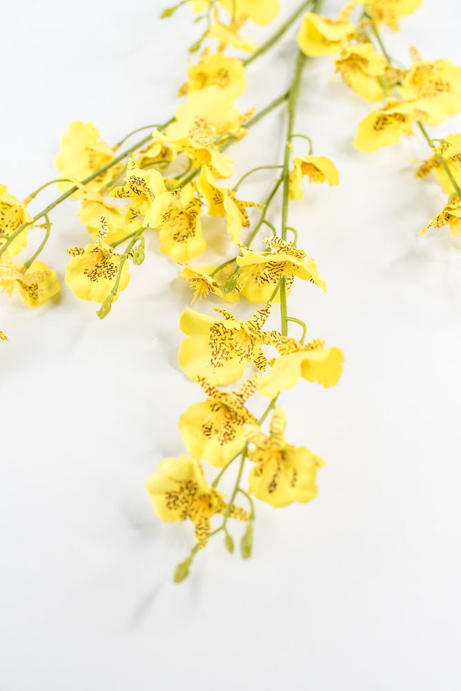 Yellow Dancing Orchid Spray - 36" - Greenery Market64020YW
