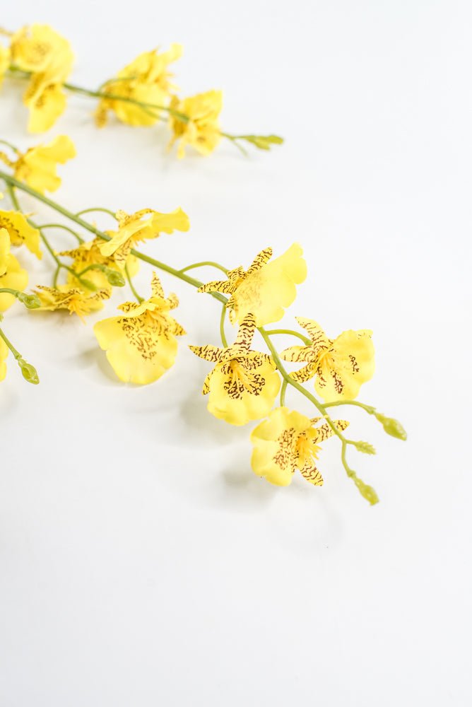 Yellow Dancing Orchid Spray - 36" - Greenery Market64020YW