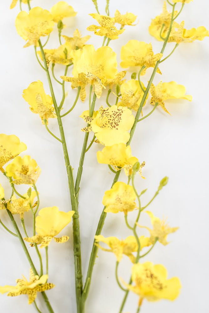 Yellow Dancing Orchid Spray - 36" - Greenery Market64020YW
