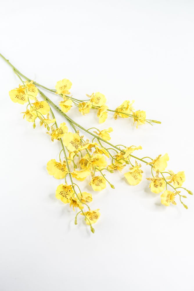 Yellow Dancing Orchid Spray - 36" - Greenery Market64020YW