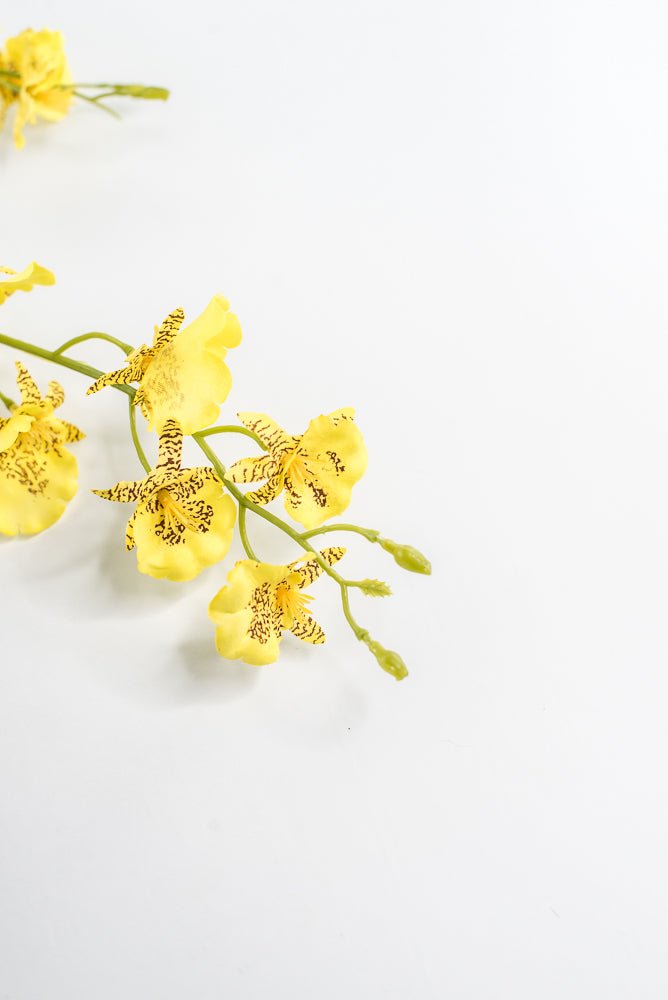 Yellow Dancing Orchid Spray - 36" - Greenery Market64020YW