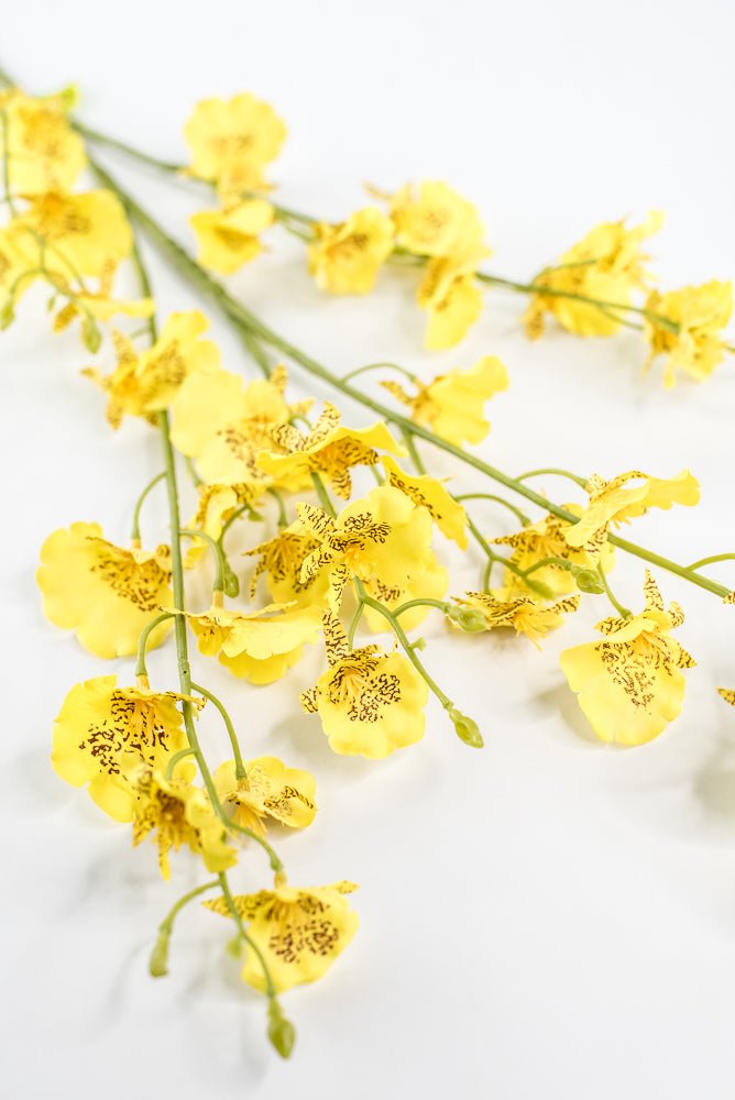 Yellow Dancing Orchid Spray - 36" - Greenery Market64020YW