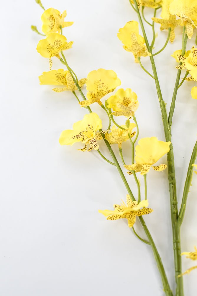 Yellow Dancing Orchid Spray - 36" - Greenery Market64020YW