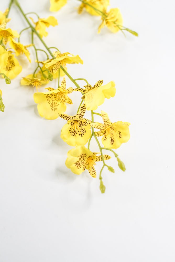 Yellow Dancing Orchid Spray - 36" - Greenery Market64020YW