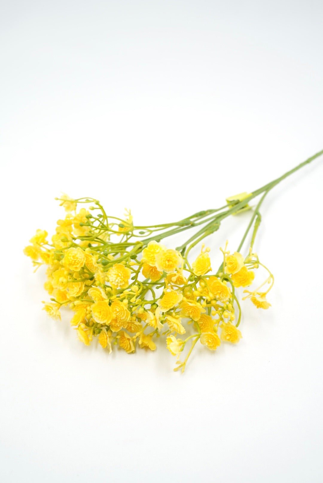 Yellow Gypso Spray - 18