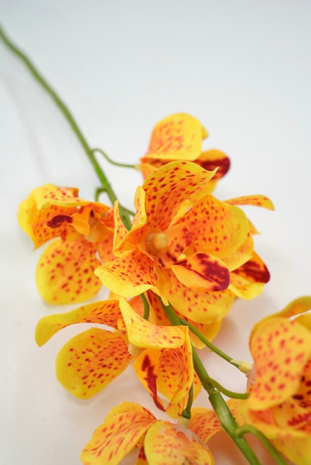 Yellow Mokara Orchid Stem - 22" - Greenery MarketArtificial Flowers64051YW