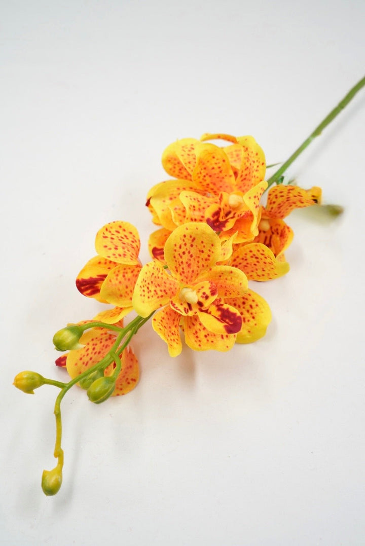 Yellow Mokara Orchid Stem - 22" - Greenery MarketArtificial Flowers64051YW