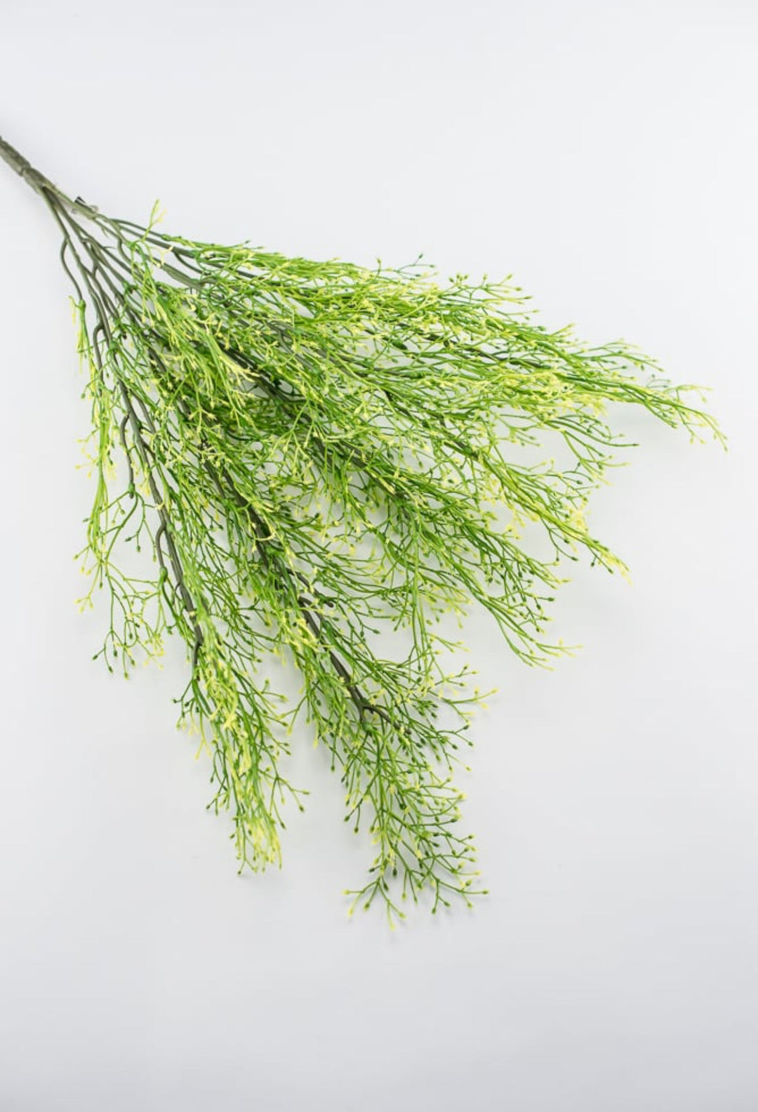 Yellow tipped, fine wild grass bush - Greenery Market26928