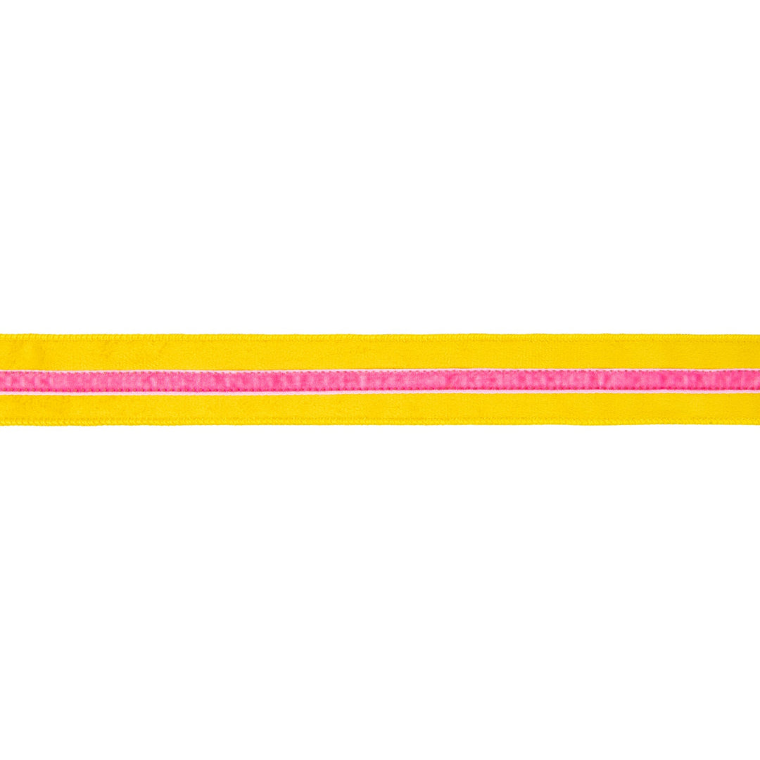 Yellow With Pink Trim Wired Velvet Ribbon - 1.5" - Greenery MarketWired Ribbon7020W-662-38E