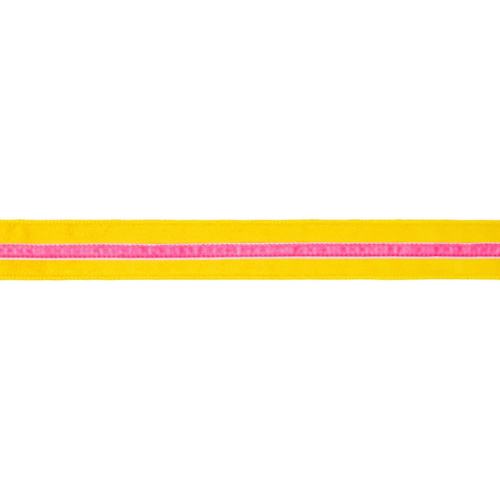 Yellow With Pink Trim Wired Velvet Ribbon - 1.5" - Greenery MarketWired Ribbon7020W-662-38E