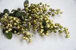 Artificial berry spray - green - Greenery MarketArtificial Flora82592-GN