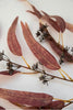 Artificial, blade eucalyptus spray - brown - Greenery MarketArtificial Flora26421