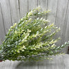 Artificial boxwood, greenery, cream tipped bush x 2 bushes - Greenery Marketgreenery43236