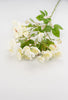 Artificial buttercup spray - ivory - Greenery Market5631-C