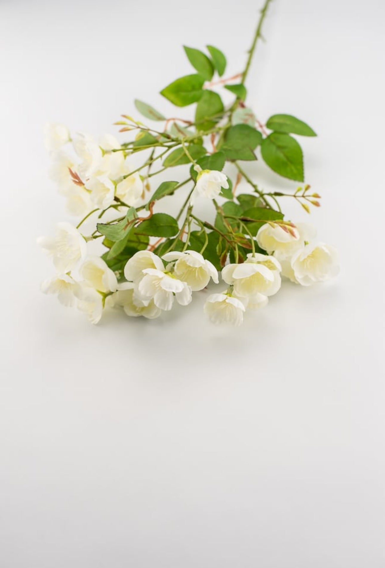 Artificial buttercup spray - ivory - Greenery Market5631-C