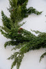 Artificial cedar pine garland - 65” - Greenery Marketgreenery2833008GR