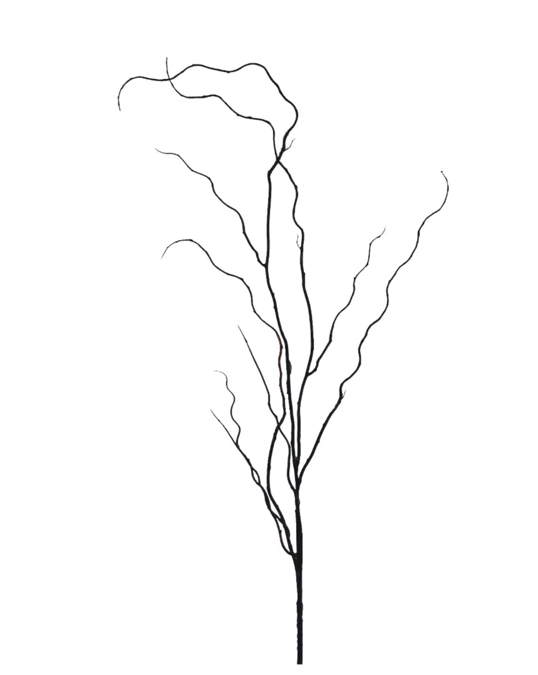 Artificial curly Twig spray - Greenery Market