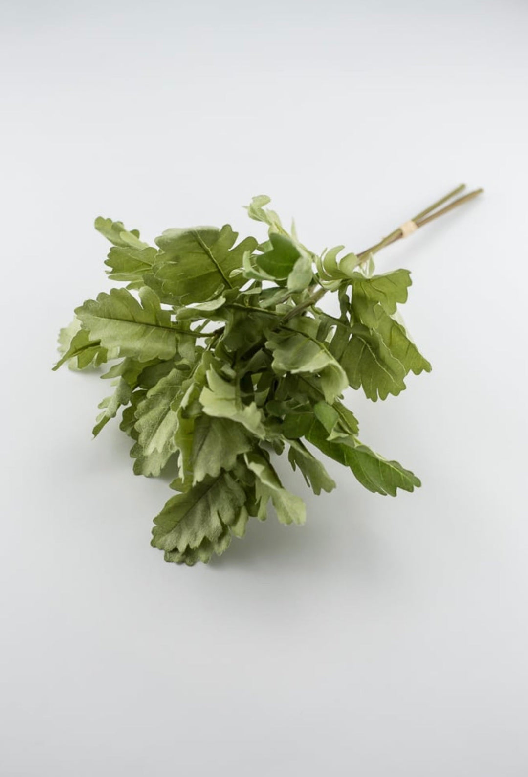 Artificial dusty miller greenery bundle - Greenery Market2310178LG