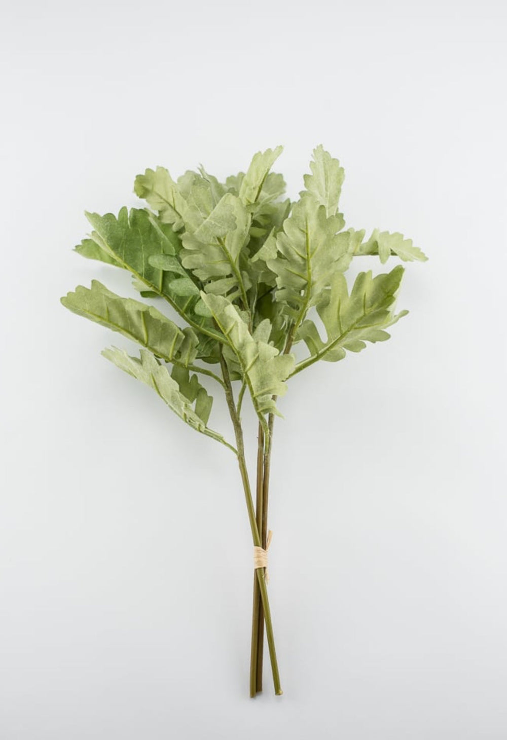 Artificial dusty miller greenery bundle - Greenery Market2310178LG