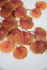 Artificial, eucalyptus spray - gold wine - Greenery Marketartificial flowers26622