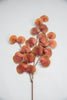 Artificial, eucalyptus spray - gold wine - Greenery Marketartificial flowers26622