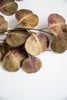 Artificial, eucalyptus spray - green plum - Greenery Marketartificial flowers26621