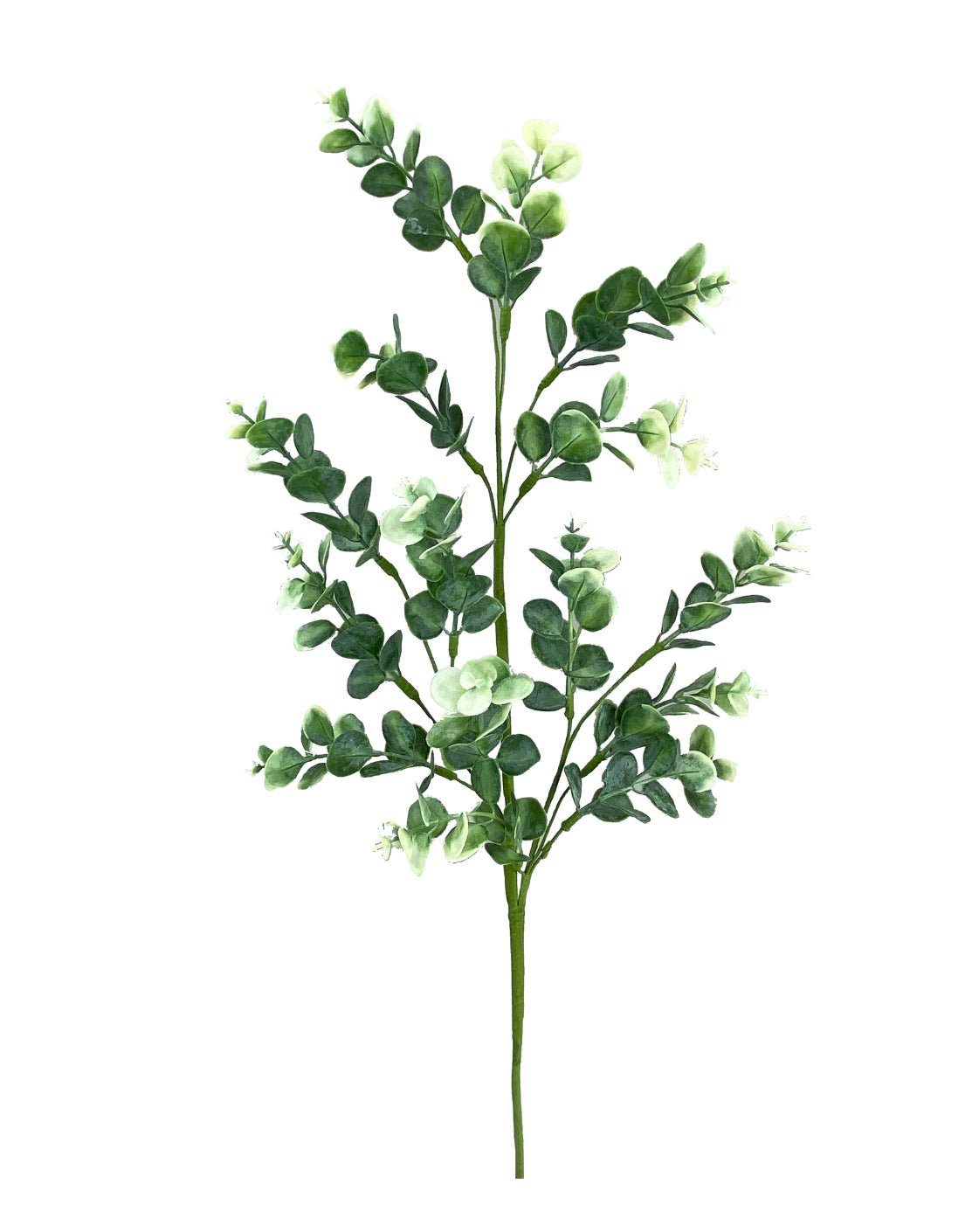 Artificial Eucalyptus spray - Greenery MarketArtificial Flora13554SP28