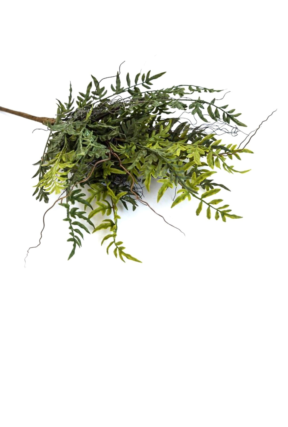 Artificial fern bush and twigs - Greenery Marketgreenery25997