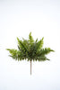 Artificial fern bush, greenery bush - Greenery Marketgreenery25769