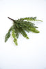 Artificial fern bush, soft touch greenery bush - Greenery Marketgreenery25791