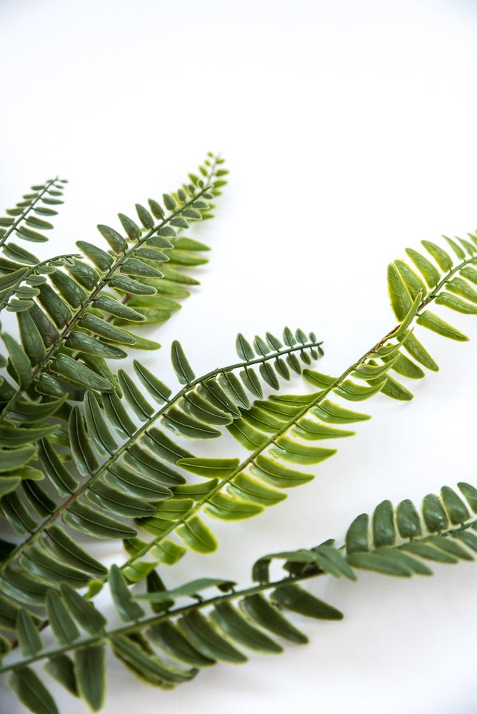 Artificial fern bush, soft touch greenery bush - Greenery Marketgreenery25791