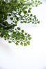 Artificial fern bush - Greenery Marketgreenery25946